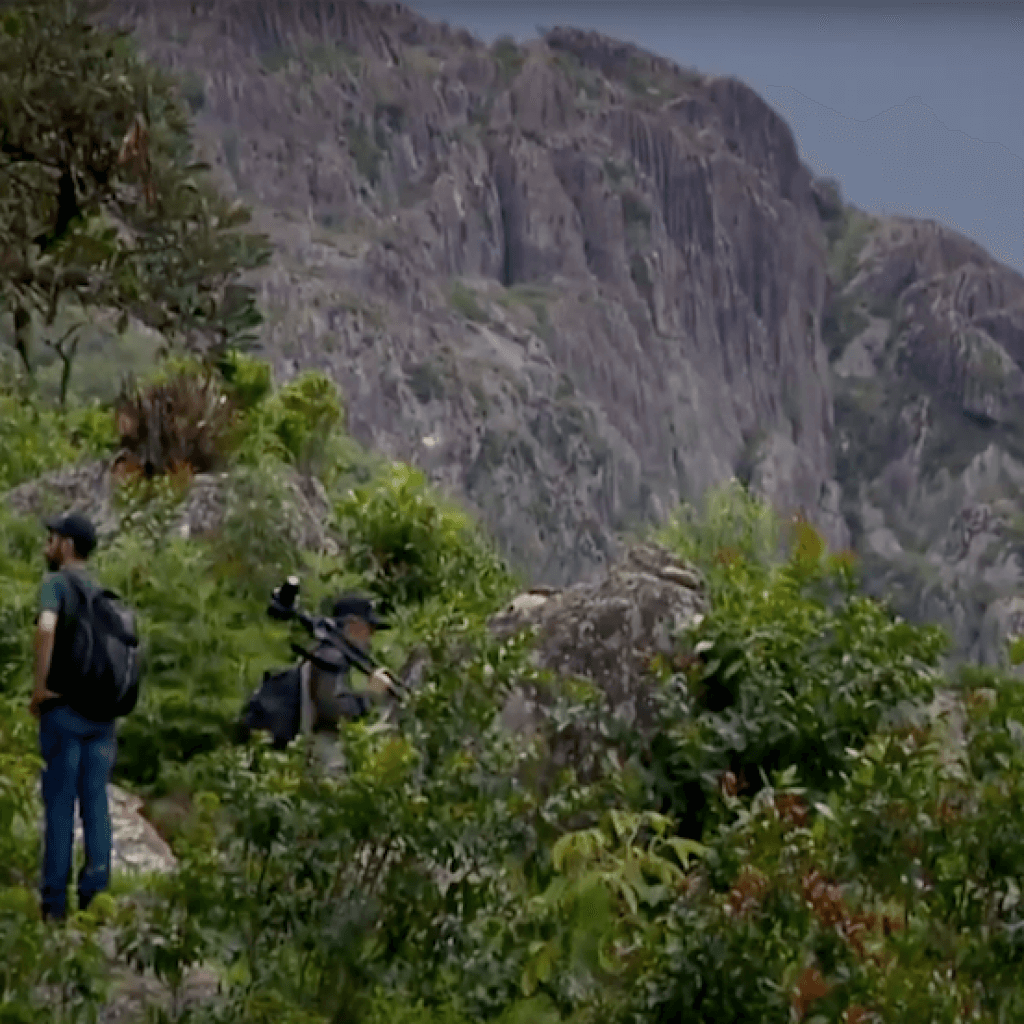 Pedra Branca é reserva que guarda plantas raras e aves da Mata Atlântica